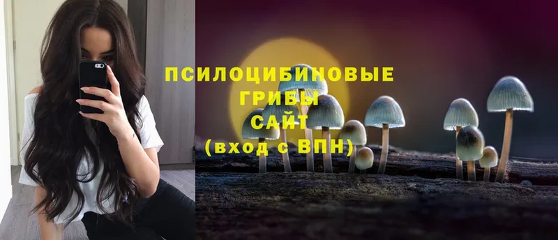 Галлюциногенные грибы Cubensis  Подольск 